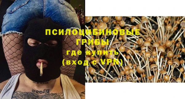 таблы Карпинск