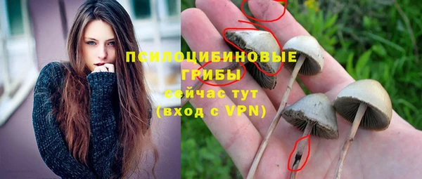 таблы Карпинск